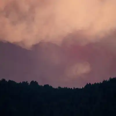Pink evening clouds hanging low over a dark line of forest